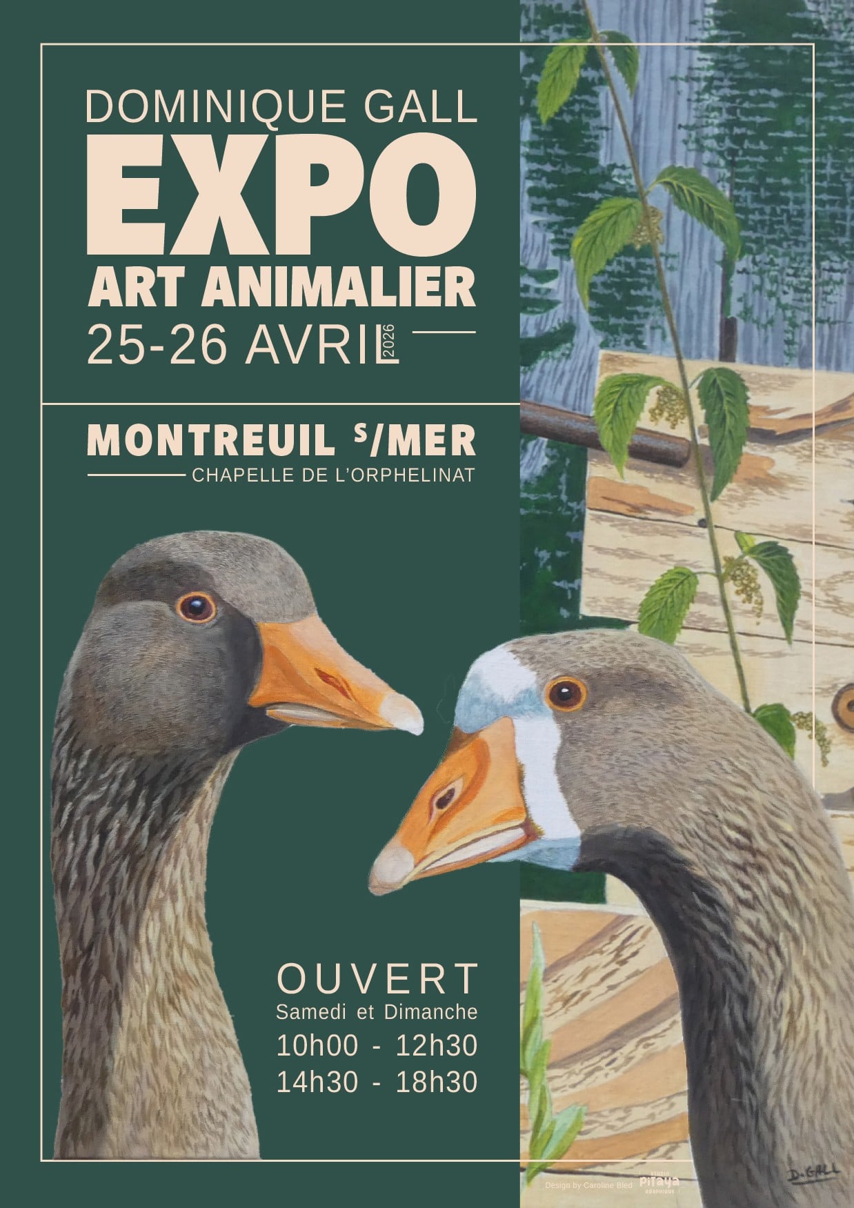 Exposition d'Art Animalier - Dominique GALL